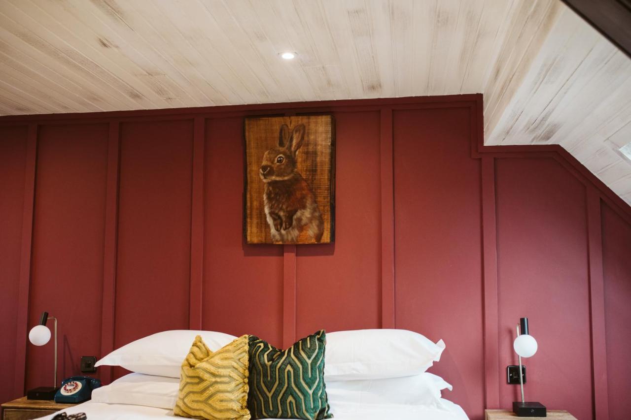 The Rabbit Hotel & Retreat Templepatrick Eksteriør bilde